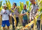 Polresta Sidoarjo Gelorakan Swasembada Pangan Melalui Program P2B